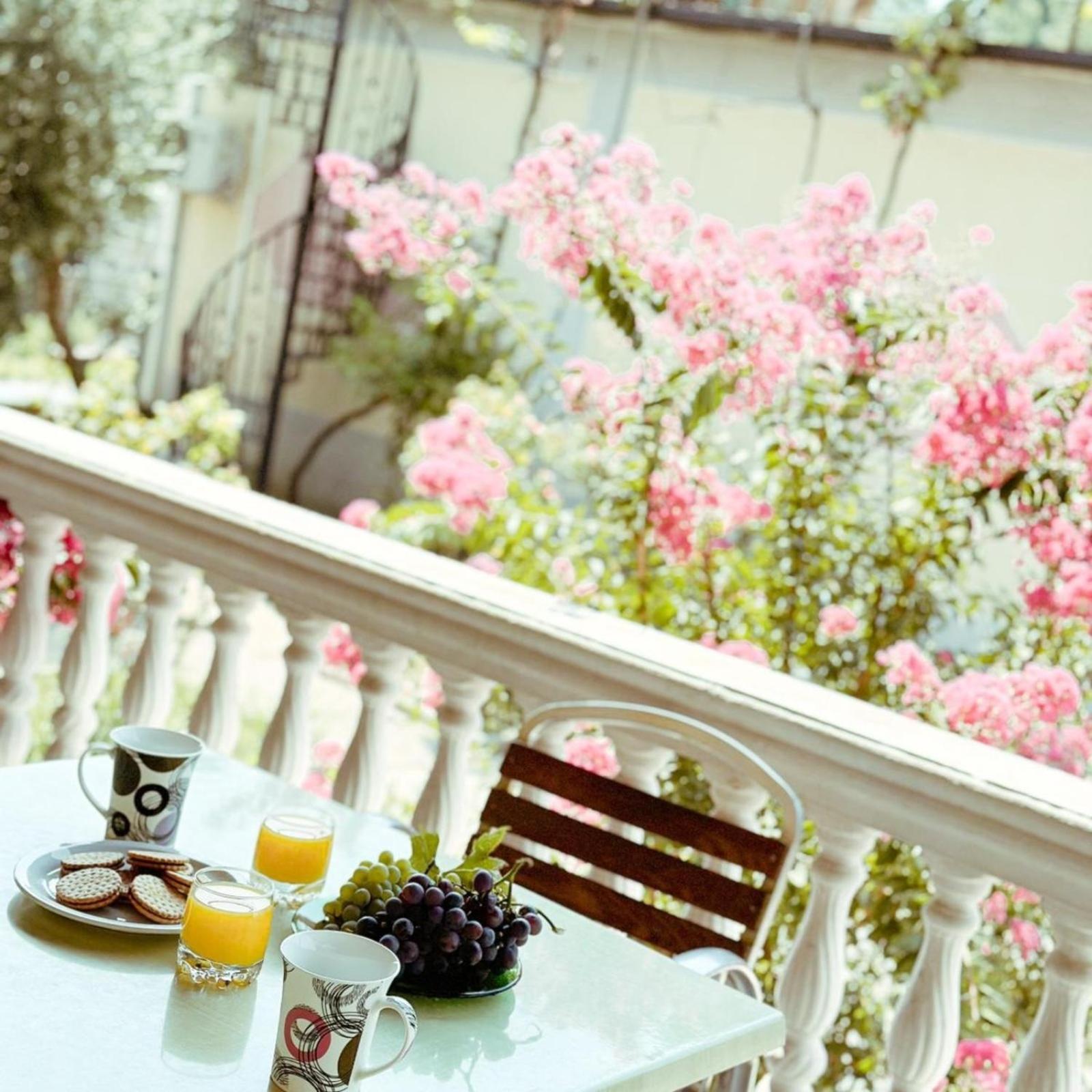 Vizion Hotel شكودر المظهر الخارجي الصورة