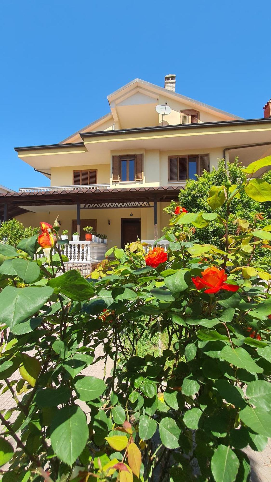 Vizion Hotel شكودر المظهر الخارجي الصورة